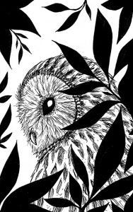 Night Owl, illustration. Elléa Bird, illustratrice, Lyon.